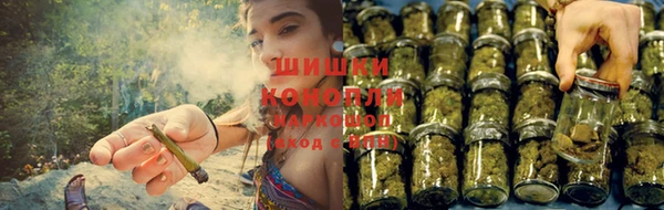 ГАЛЛЮЦИНОГЕННЫЕ ГРИБЫ Новый Уренгой