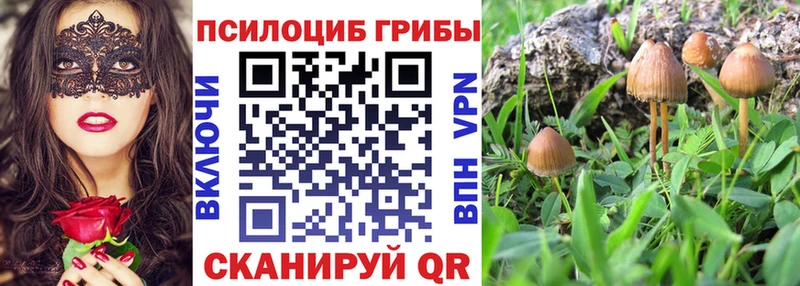 купить наркотики сайты  Старый Крым  Галлюциногенные грибы мухоморы 